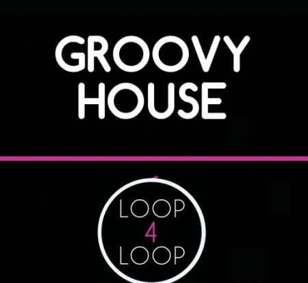 Loop 4 Loop Groovy House WAV